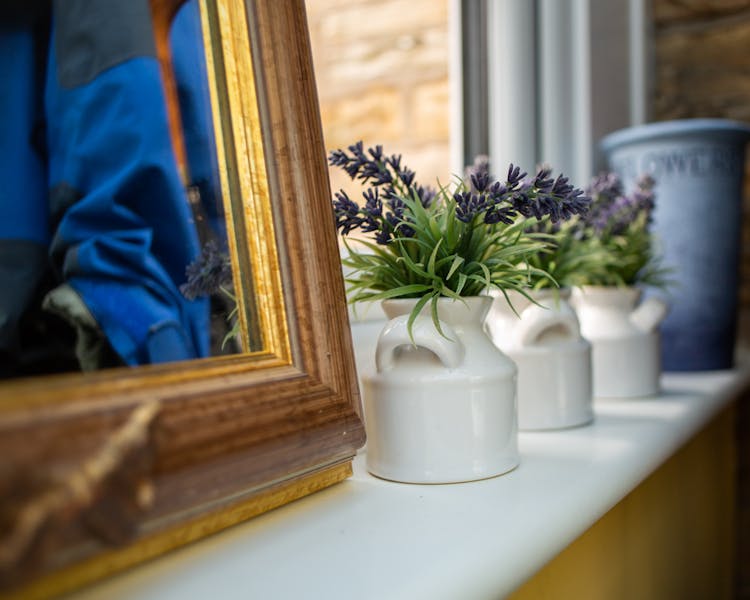 Windowsill in the Old Schoolhouse Bed and Breakfast in Haltwhistle, Northumberland