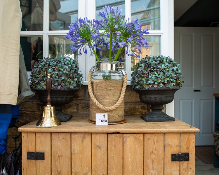 School bell and houseplants in Old Schoolhouse Bed and Breakfast in Haltwhistle, Northumberland